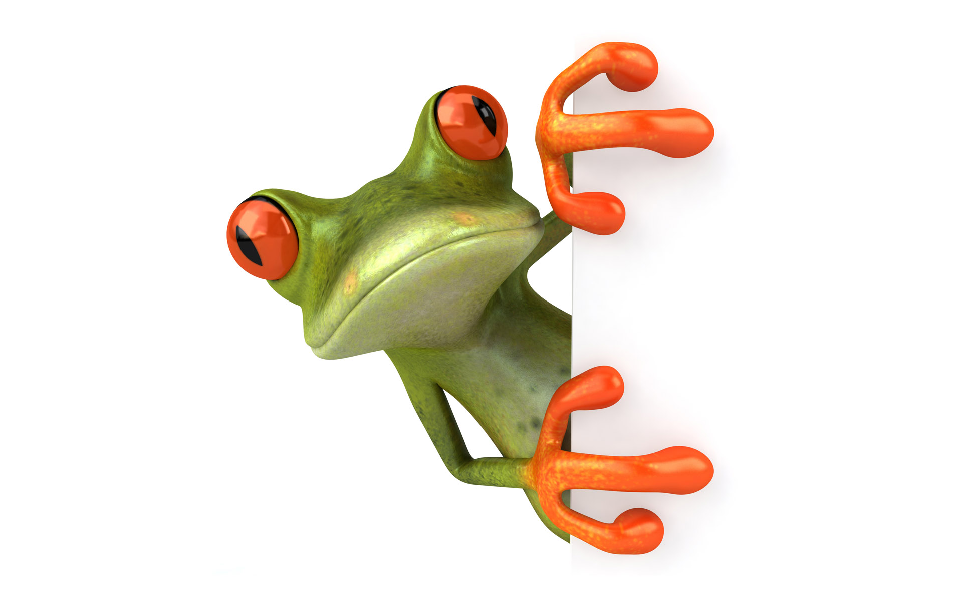 Frog Games Free Download