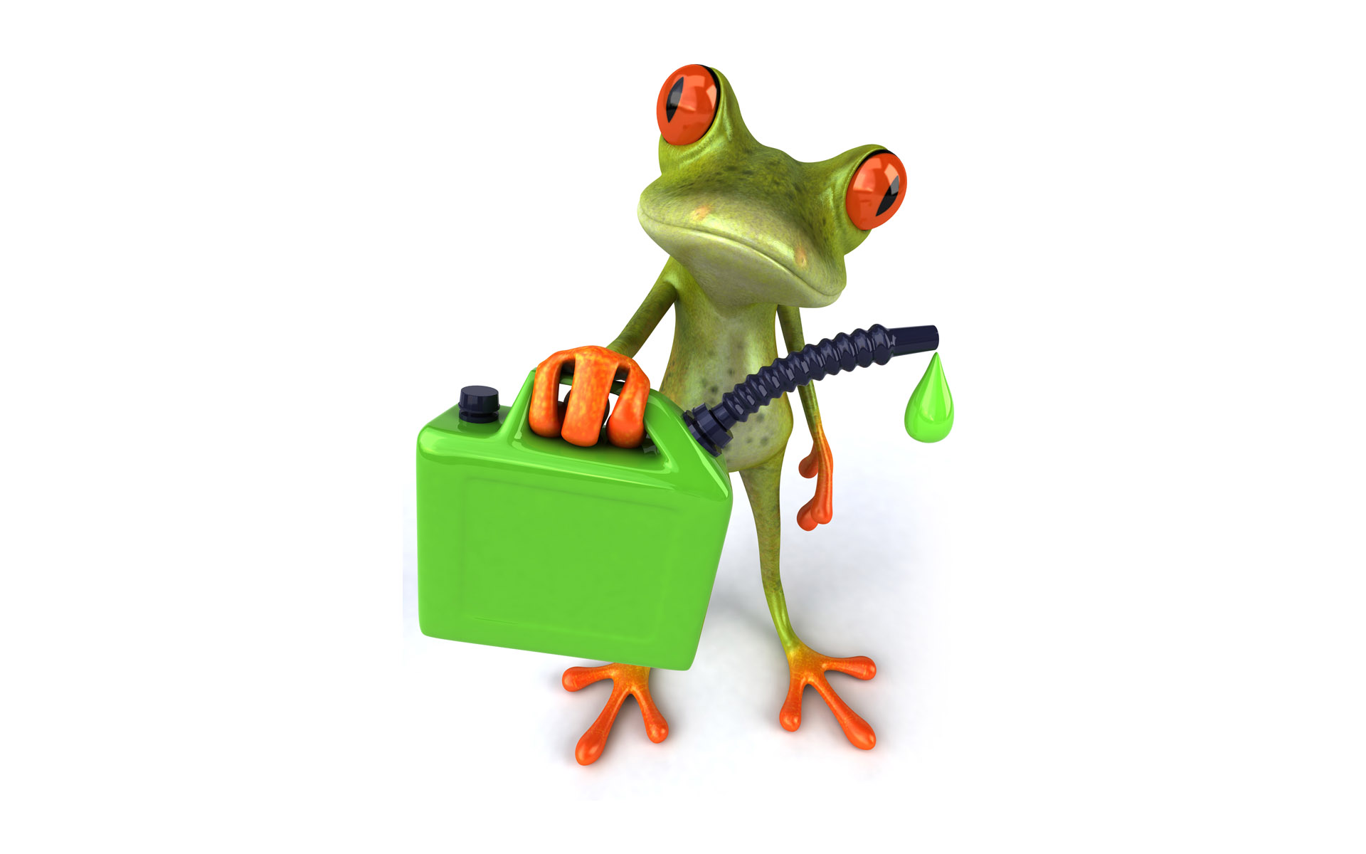Frog On Desktop Free