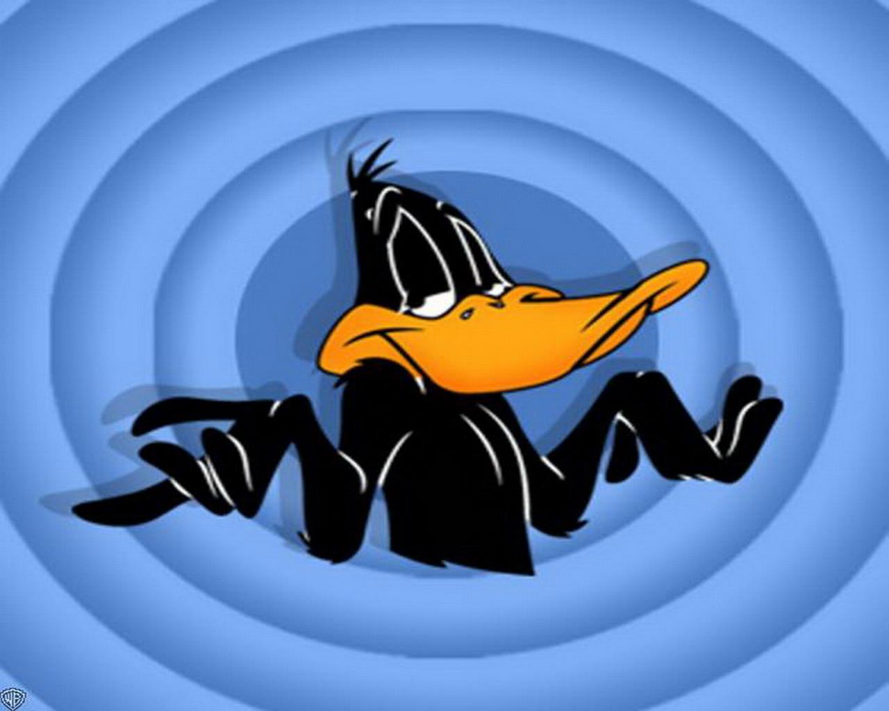 Looney Tunes - Daffy Duck Wallpapers - HD Wallpapers 7875