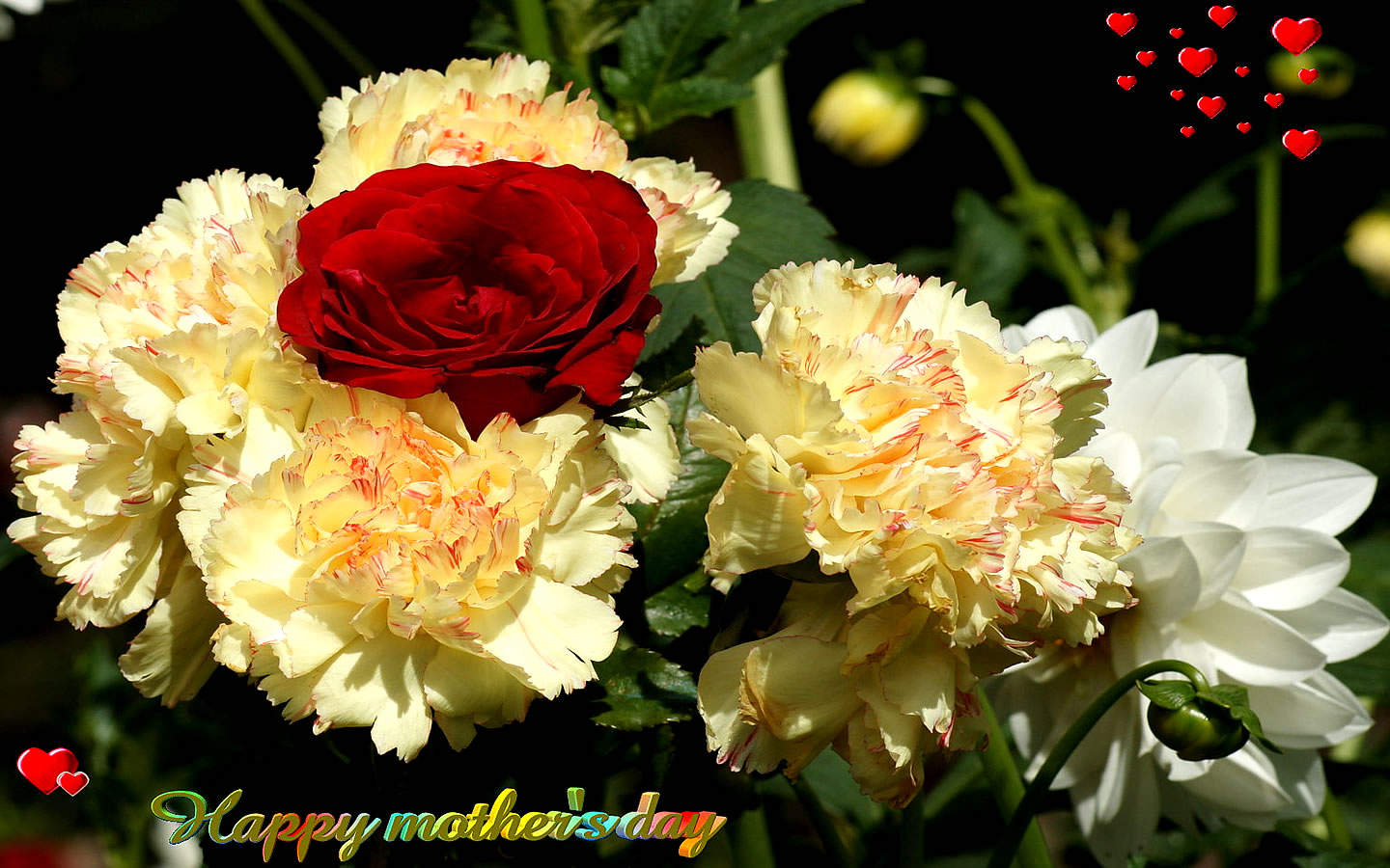 HD Wallpapers 2011 Happy Mother's Day Flowers