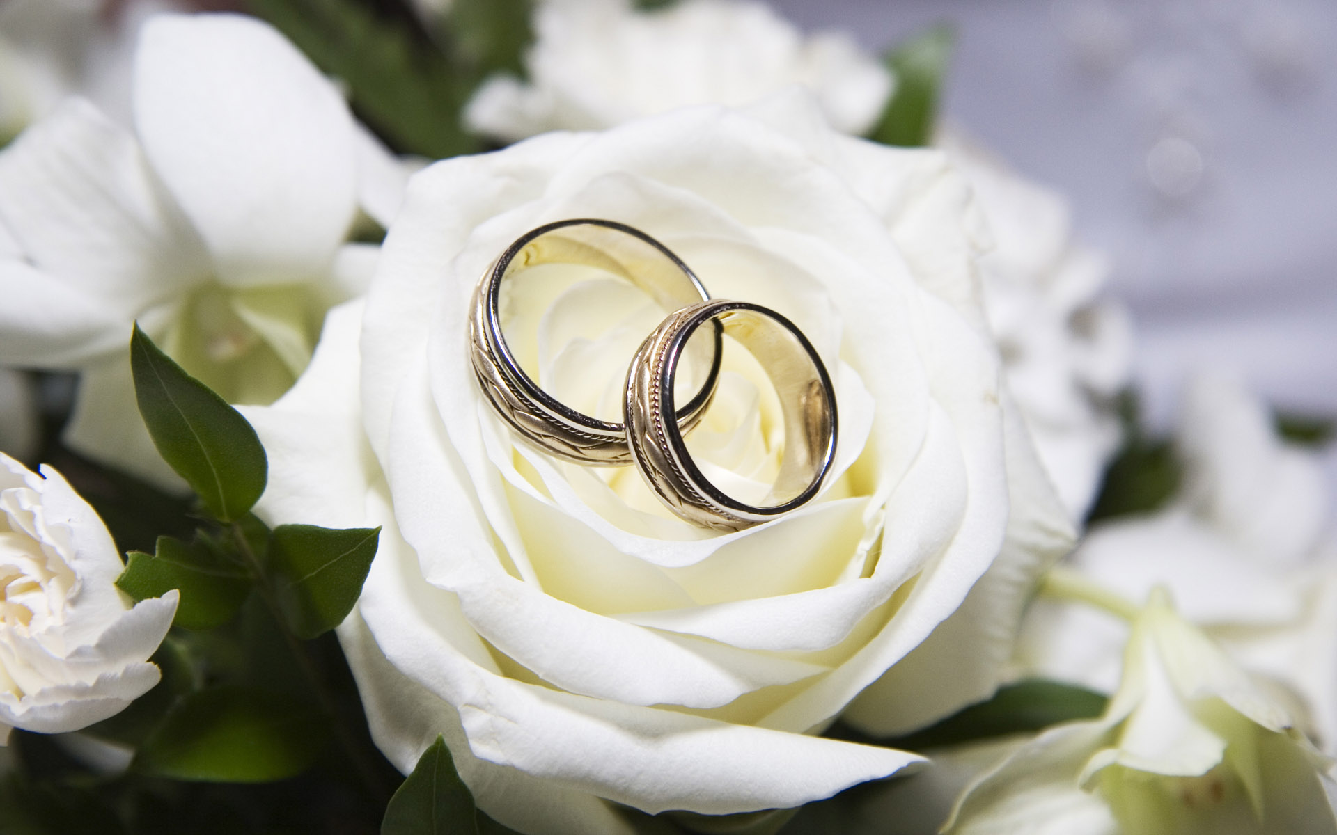Wedding Rings Bands on Wedding Ring 83858
