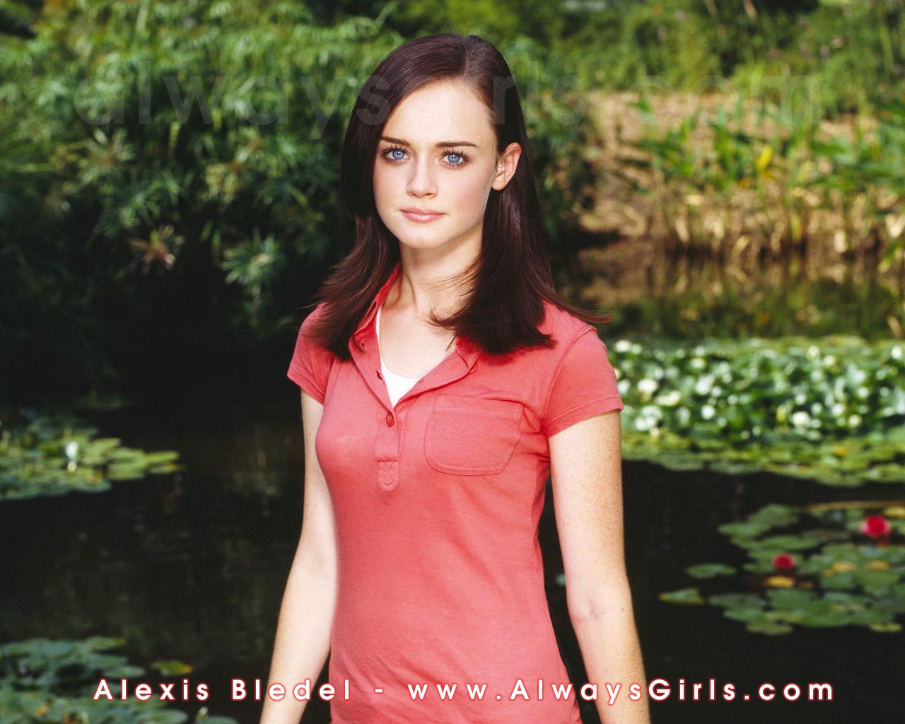 High quality Alexis Bledel wallpapers Wallpapers - HD Wallpapers 11335