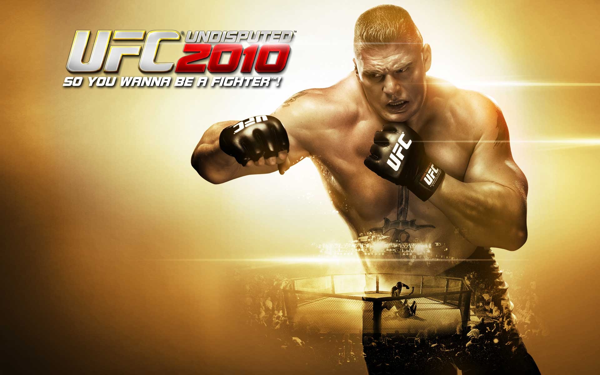 ufc-undisputed-2010-wallpapers-hd-wallpapers-84473