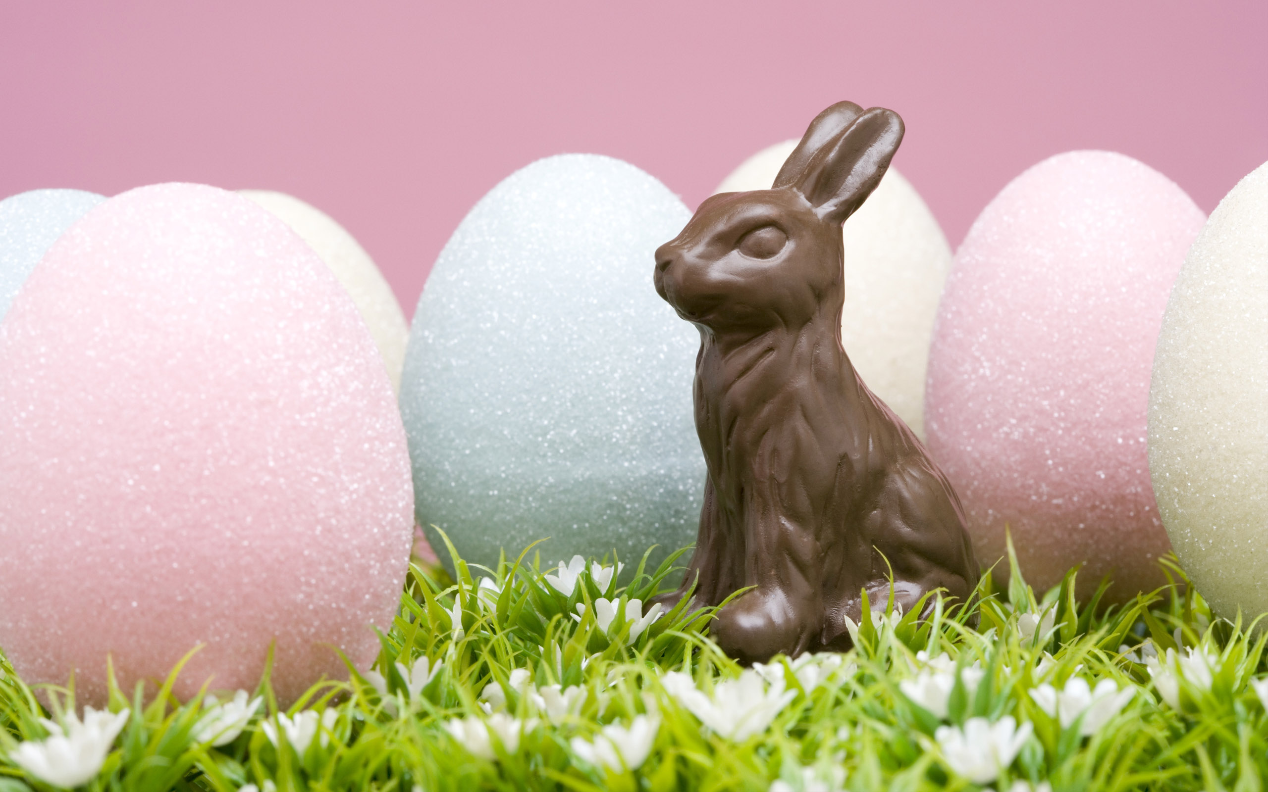 Easter Bunny HD Album. 