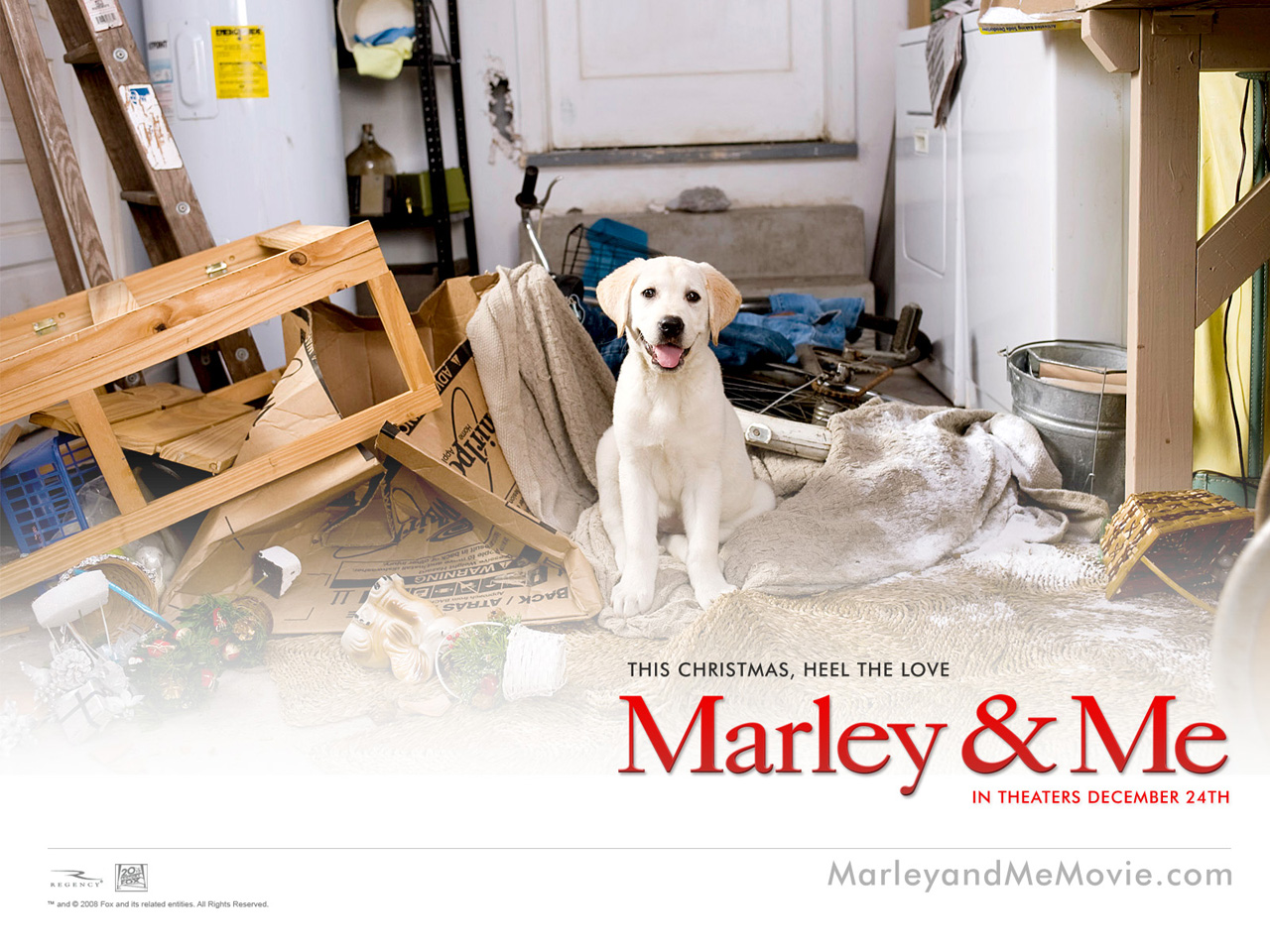 Marley and Me movie wallpaper Wallpapers - HD Wallpapers 19754
